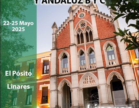 CONVOCATORIA DE LOS CAMPEONATOS DE ANDALUCIA ABSOLUTO-SUB18, ANDALUZ B Y C