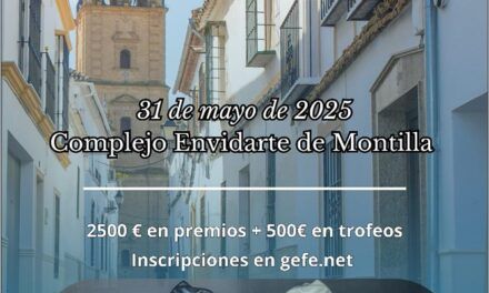 IV CAMPEONATO DE ANDALUCIA DE AJEDREZ RÁPIDO POR EDADES