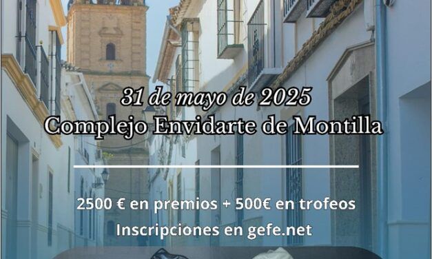 IV CAMPEONATO DE ANDALUCIA DE AJEDREZ RÁPIDO POR EDADES